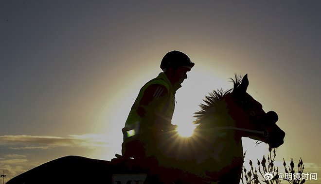 2024澳門特馬今晚開獎56期的,關于澳門特馬今晚開獎的探討與警示——警惕違法犯罪風險