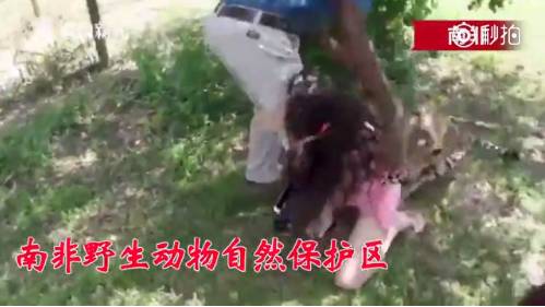 澳門新三碼必中一免費(fèi),澳門新三碼必中一免費(fèi)，警惕背后的犯罪風(fēng)險(xiǎn)