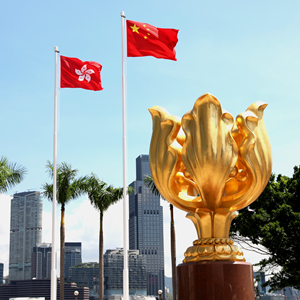 香港內(nèi)部正版資料一碼,香港內(nèi)部正版資料一碼的重要性及其影響