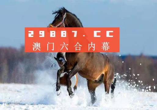 奧門正版資料免費精準,澳門正版資料免費精準，探索與解析