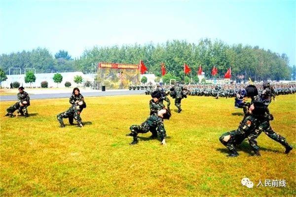 新奧門特免費(fèi)資料大全火鳳凰,新澳門特免費(fèi)資料大全火鳳凰，深度解讀澳門文化與發(fā)展脈絡(luò)