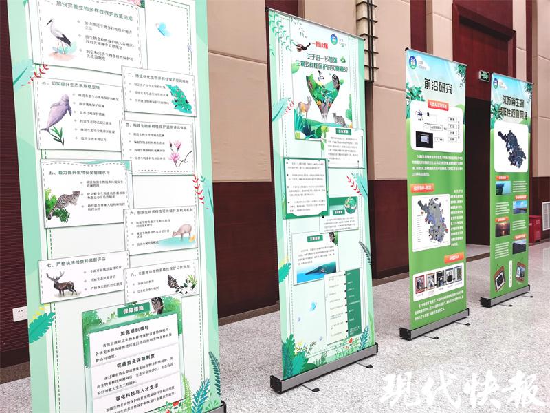 2025全年資料免費(fèi)大全,邁向未來(lái)的數(shù)據(jù)寶庫(kù)，2025全年資料免費(fèi)大全