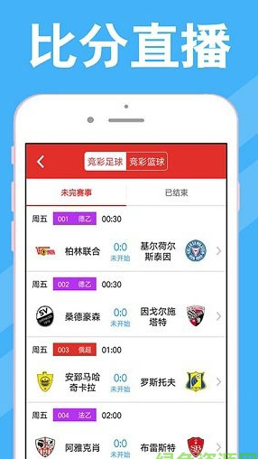 澳門4949最快開獎結果,澳門4949最快開獎結果，探索彩票世界的神秘與魅力