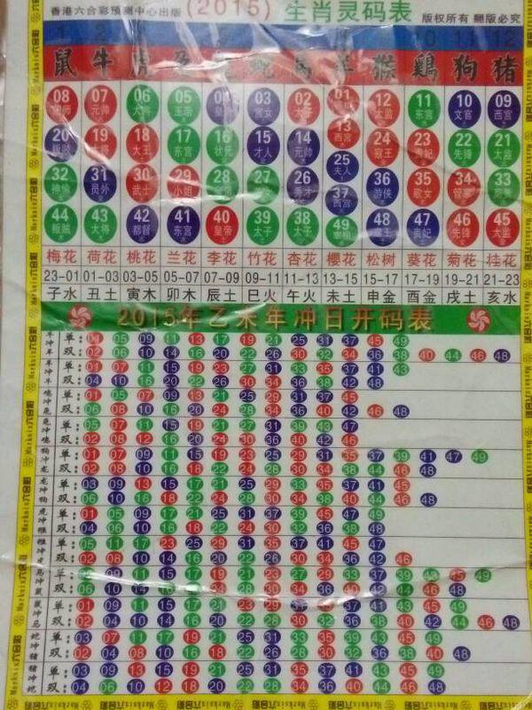 2025年12生肖49碼圖,揭秘2025年十二生肖與49碼圖的神秘關(guān)聯(lián)