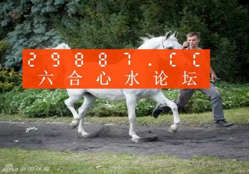 7777788888新版跑狗圖,探索新版跑狗圖，77777與88888的魅力交織