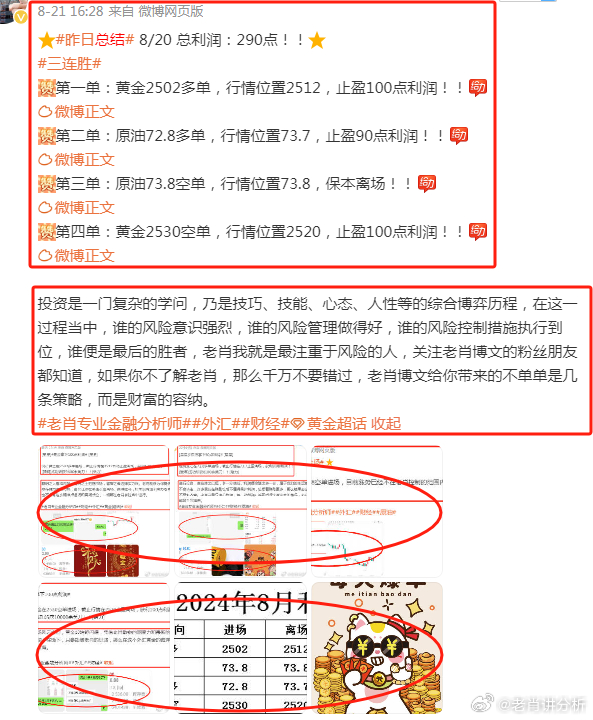 2025年管家婆的馬資料,探索未來，2025年管家婆的馬資料展望
