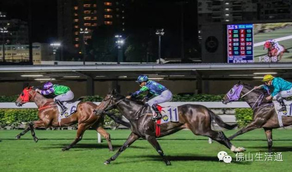 香港最準(zhǔn)馬會(huì)資料免費(fèi),香港最準(zhǔn)馬會(huì)資料免費(fèi)，探索賽馬世界的秘密