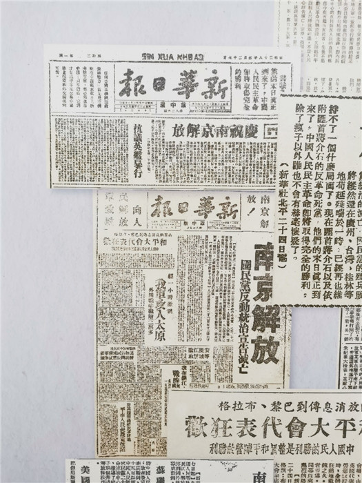 跑狗圖2025年今期,跑狗圖2025年今期，預(yù)測(cè)與展望